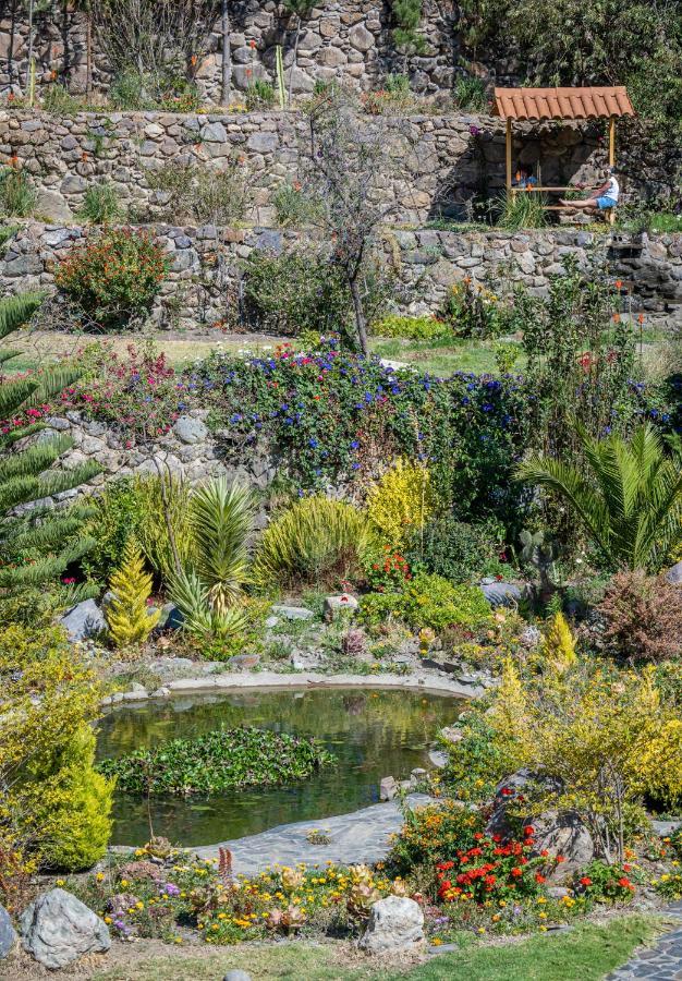 אויאנטאיטמבו Sol Natura Hotel מראה חיצוני תמונה